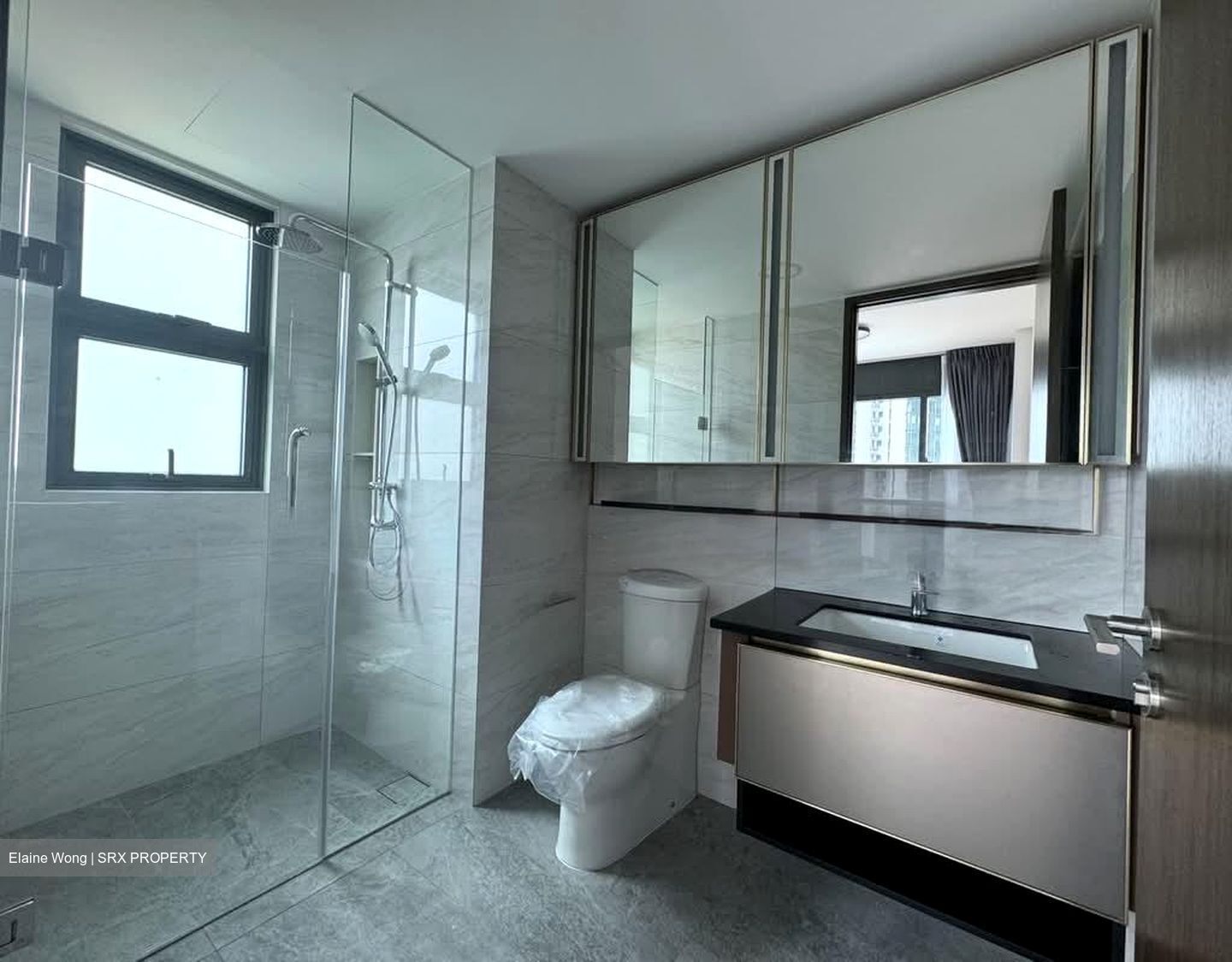Normanton Park (D5), Apartment #589791311